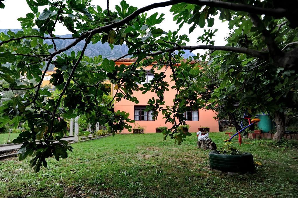 Apartments Vido Kotor Exterior photo
