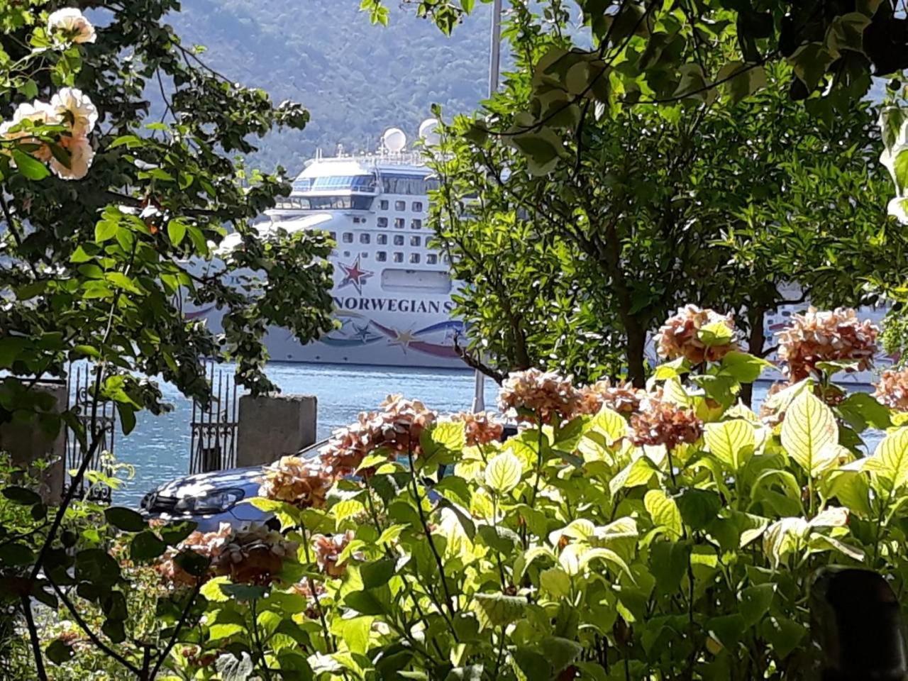 Apartments Vido Kotor Exterior photo